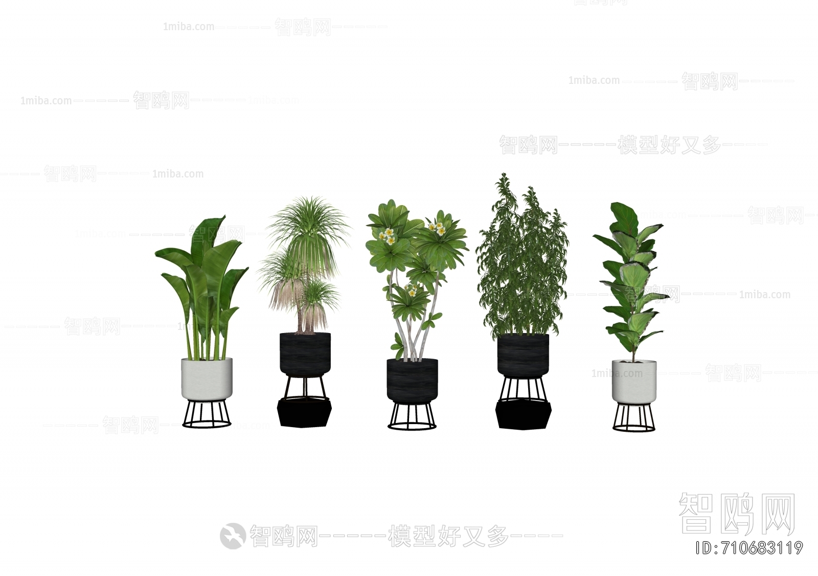 Modern Ground Green Plant Potted Plants