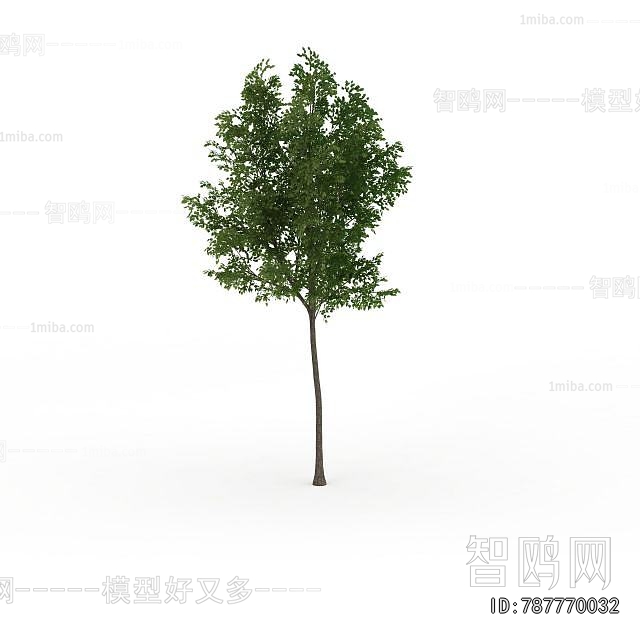 Modern Tree