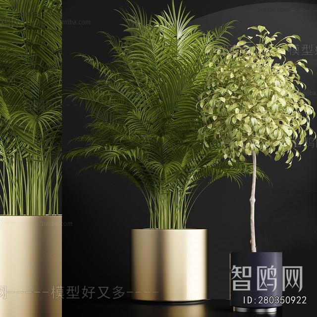 Modern Ground Green Plant Potted Plants