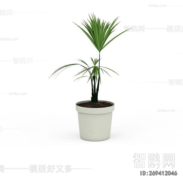 Modern Potted Green Plant