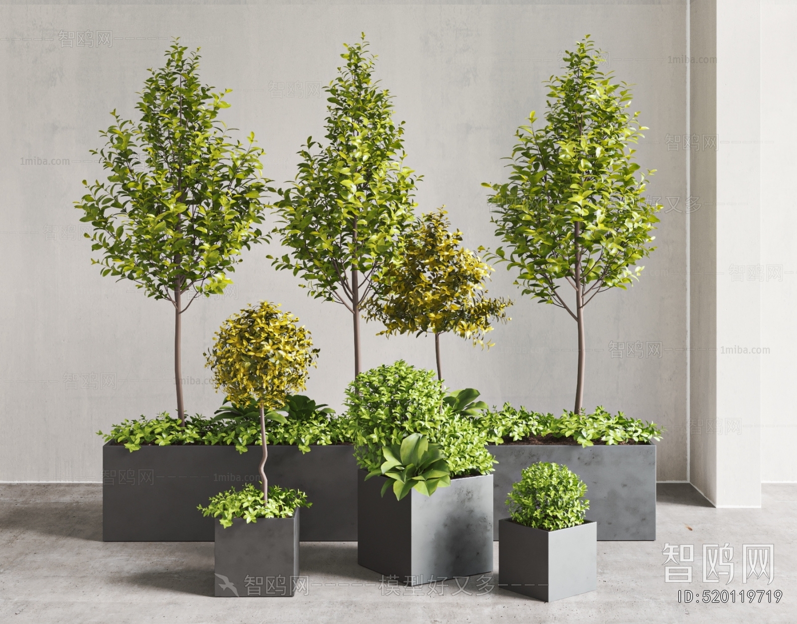 Modern Ground Green Plant Potted Plants