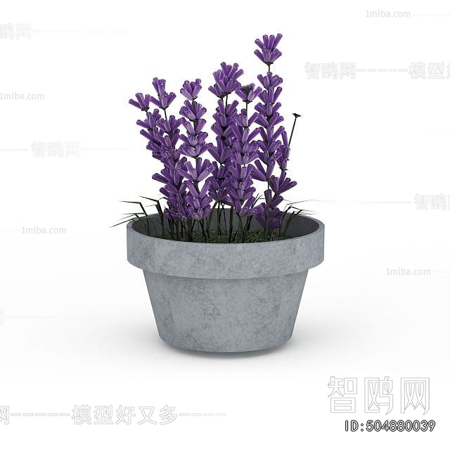 Modern Potted Green Plant
