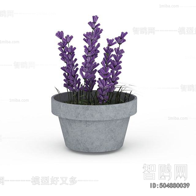 Modern Potted Green Plant