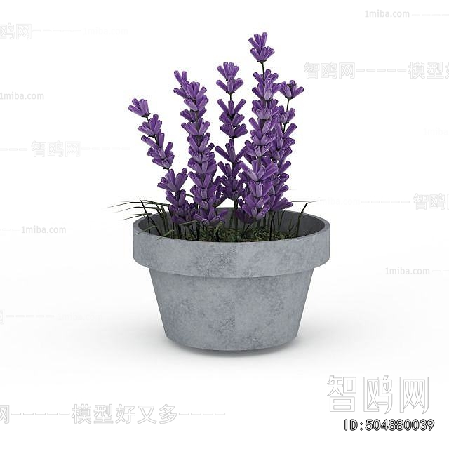 Modern Potted Green Plant