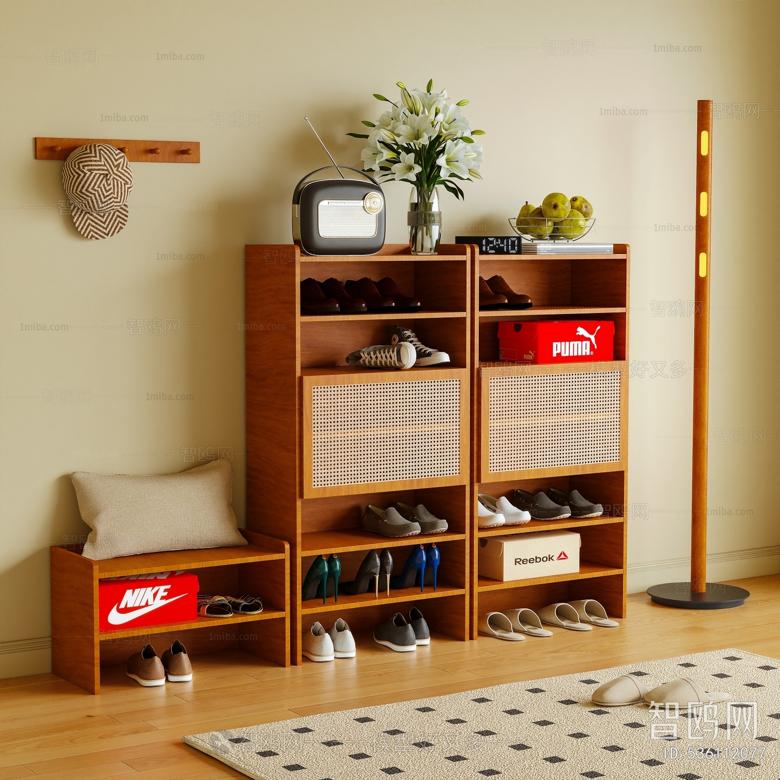 Modern Shoe Cabinet
