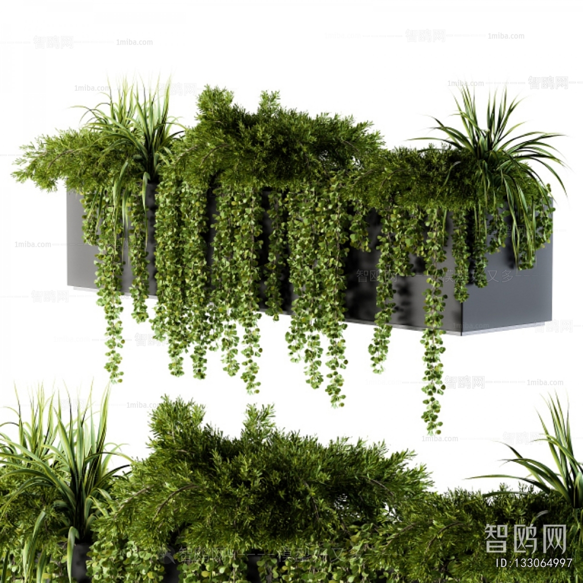 Modern Flower Bed, Flower Bowl, Flower Box