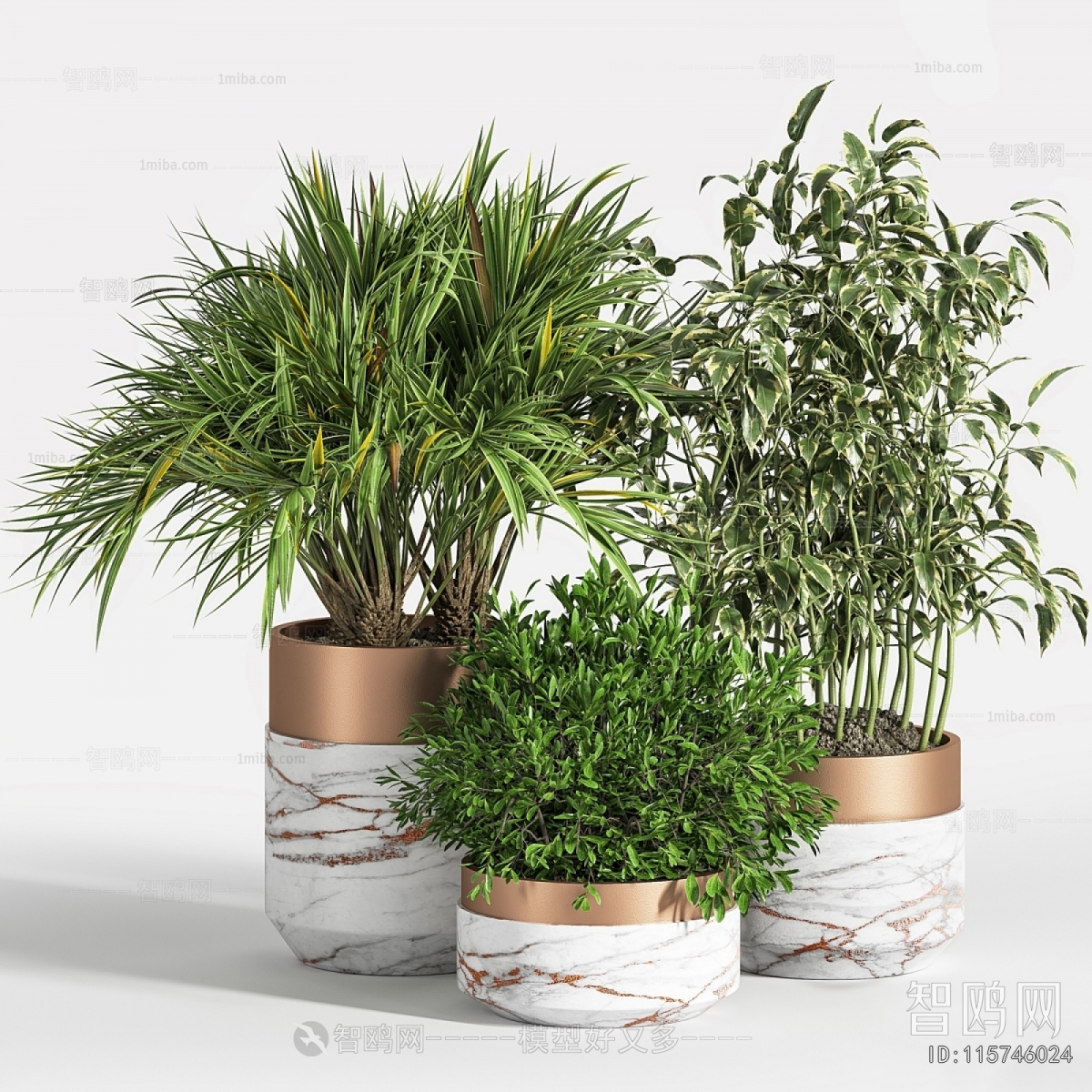 Modern Ground Green Plant Potted Plants