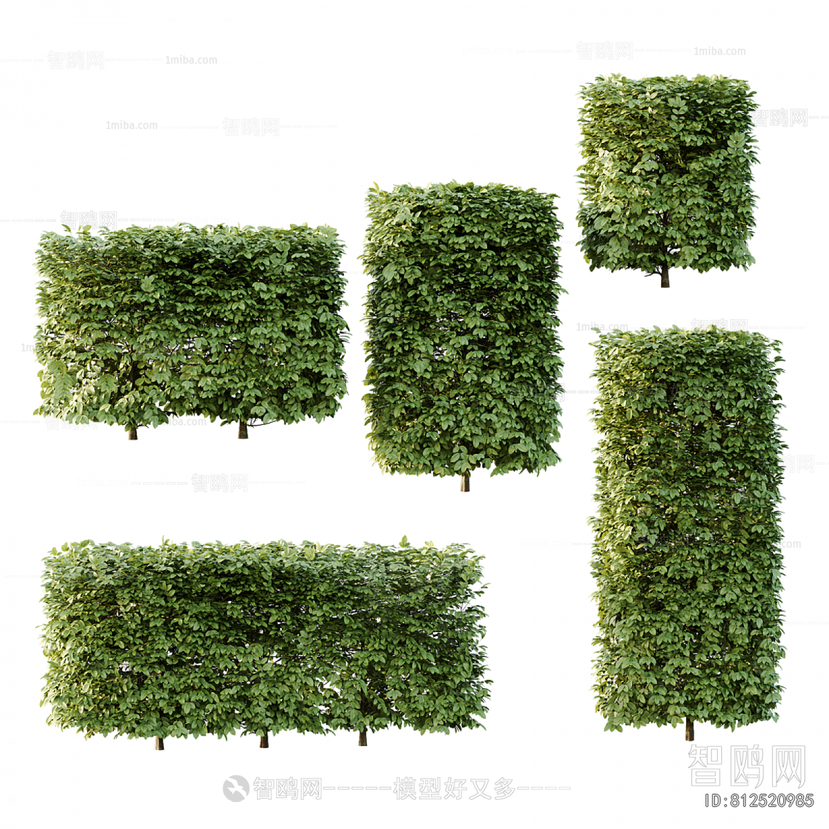 Modern Shrubbery