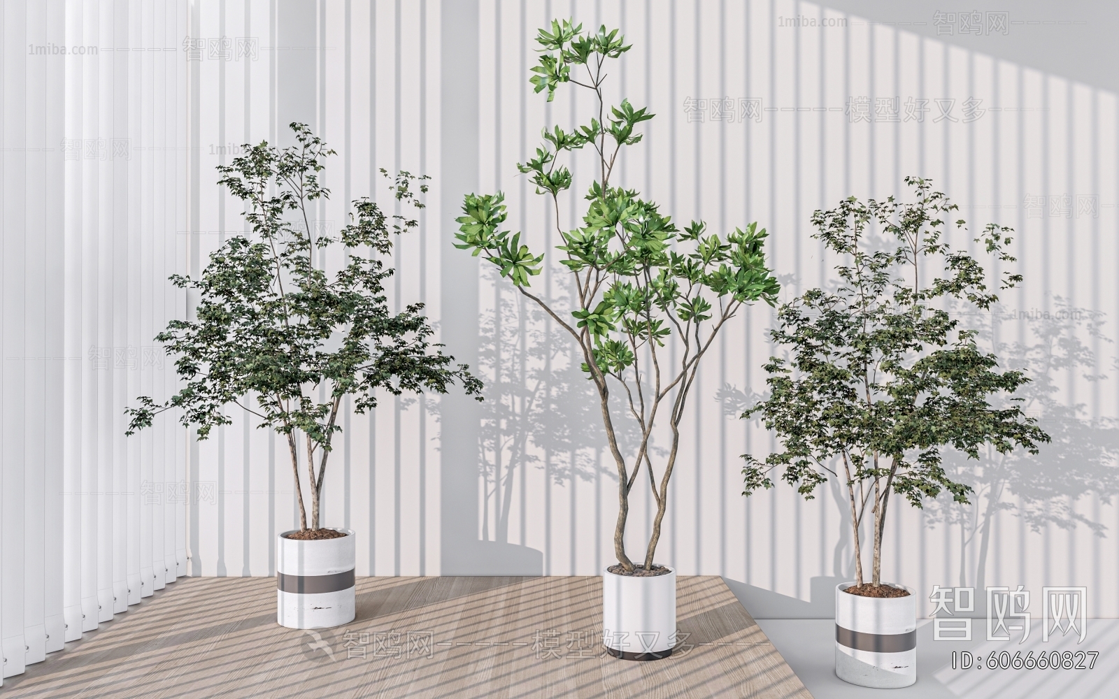 Modern Ground Green Plant Potted Plants