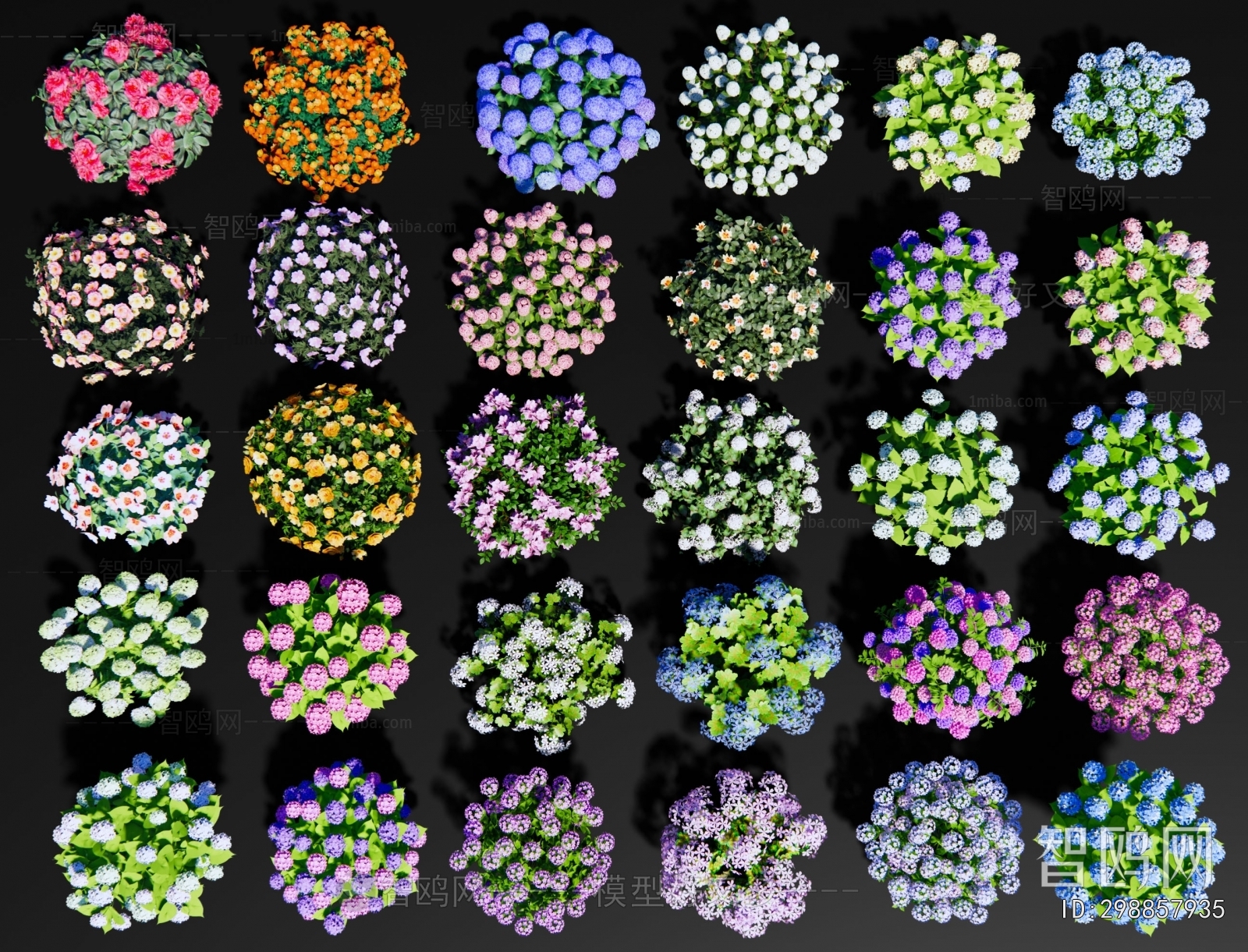 Modern Flowers And Grass