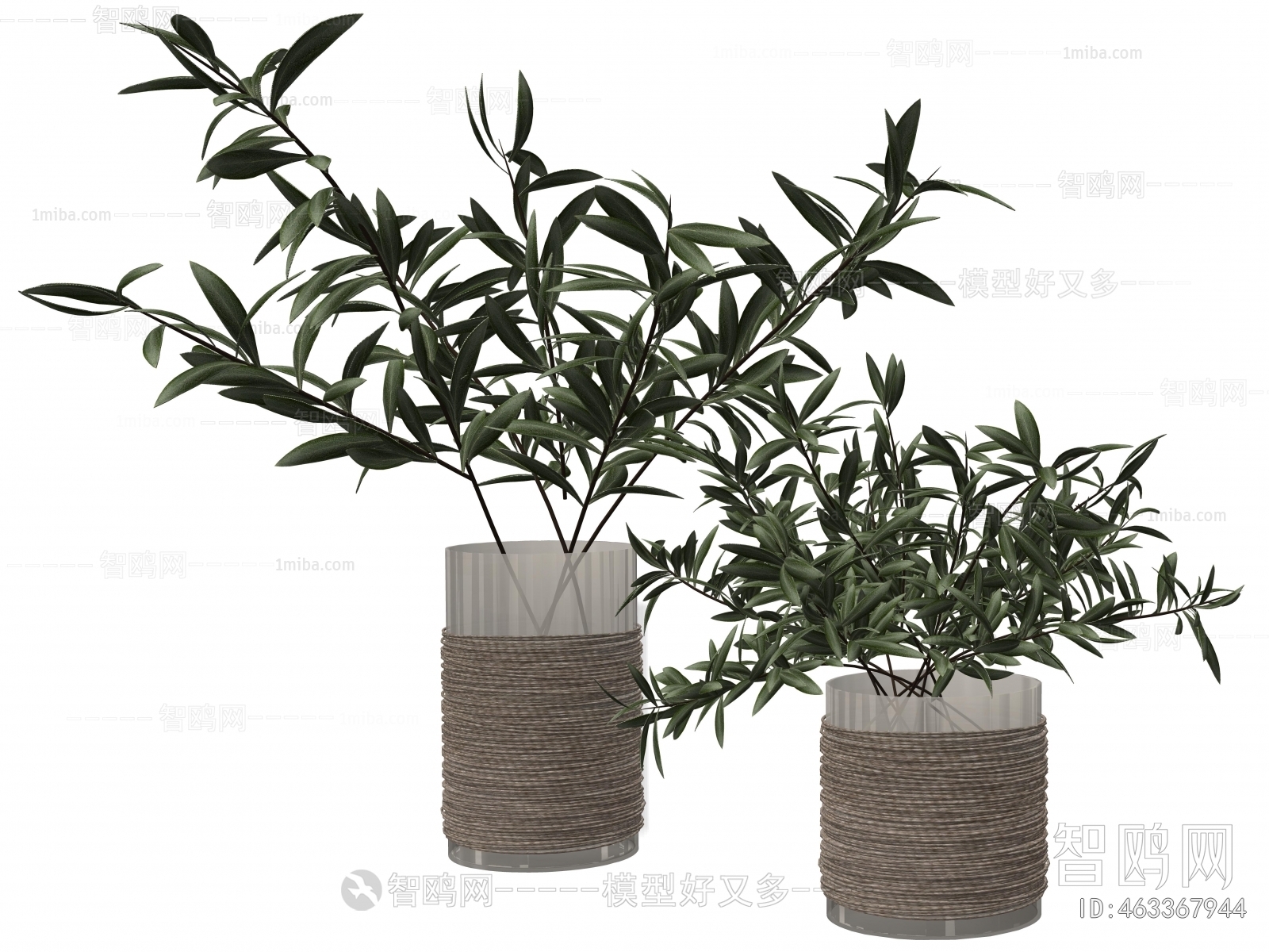 Modern Potted Green Plant
