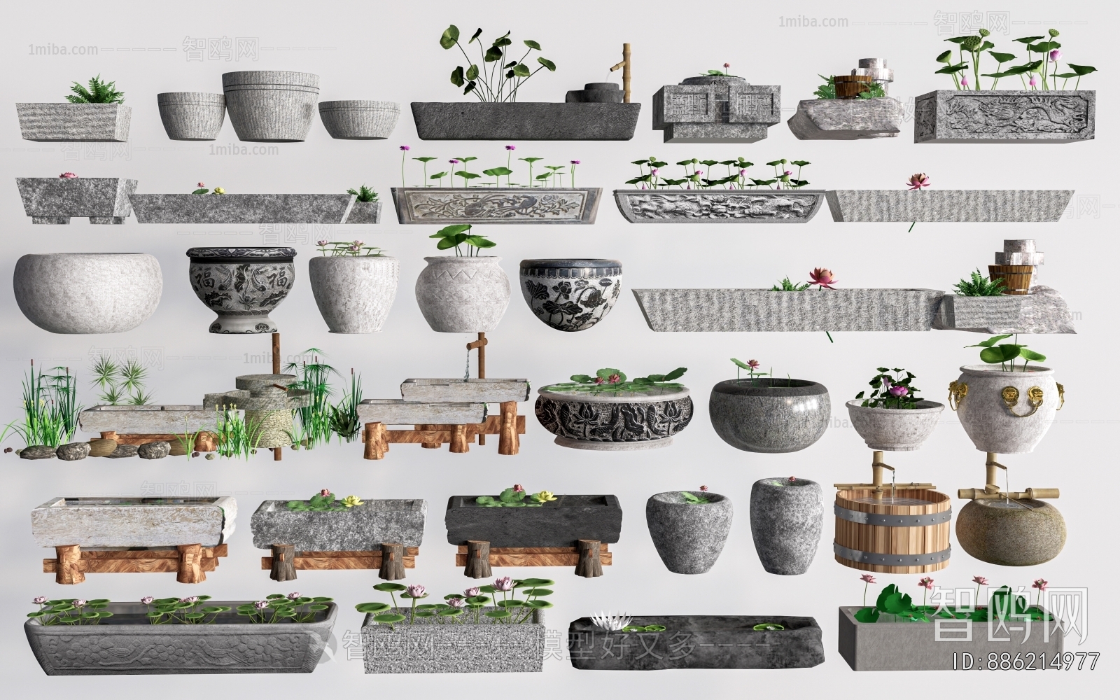 Chinese Style Garden