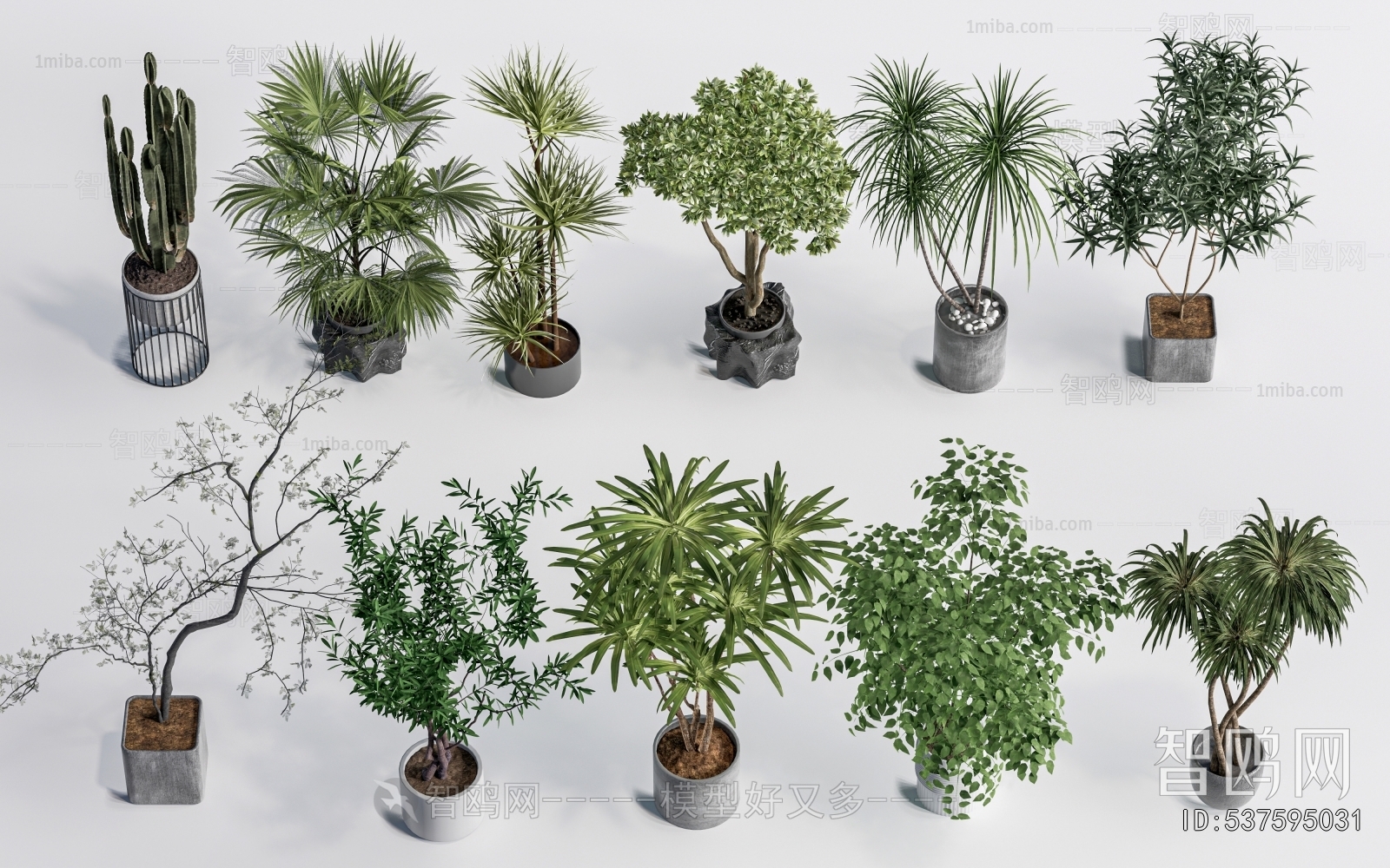 Modern Ground Green Plant Potted Plants