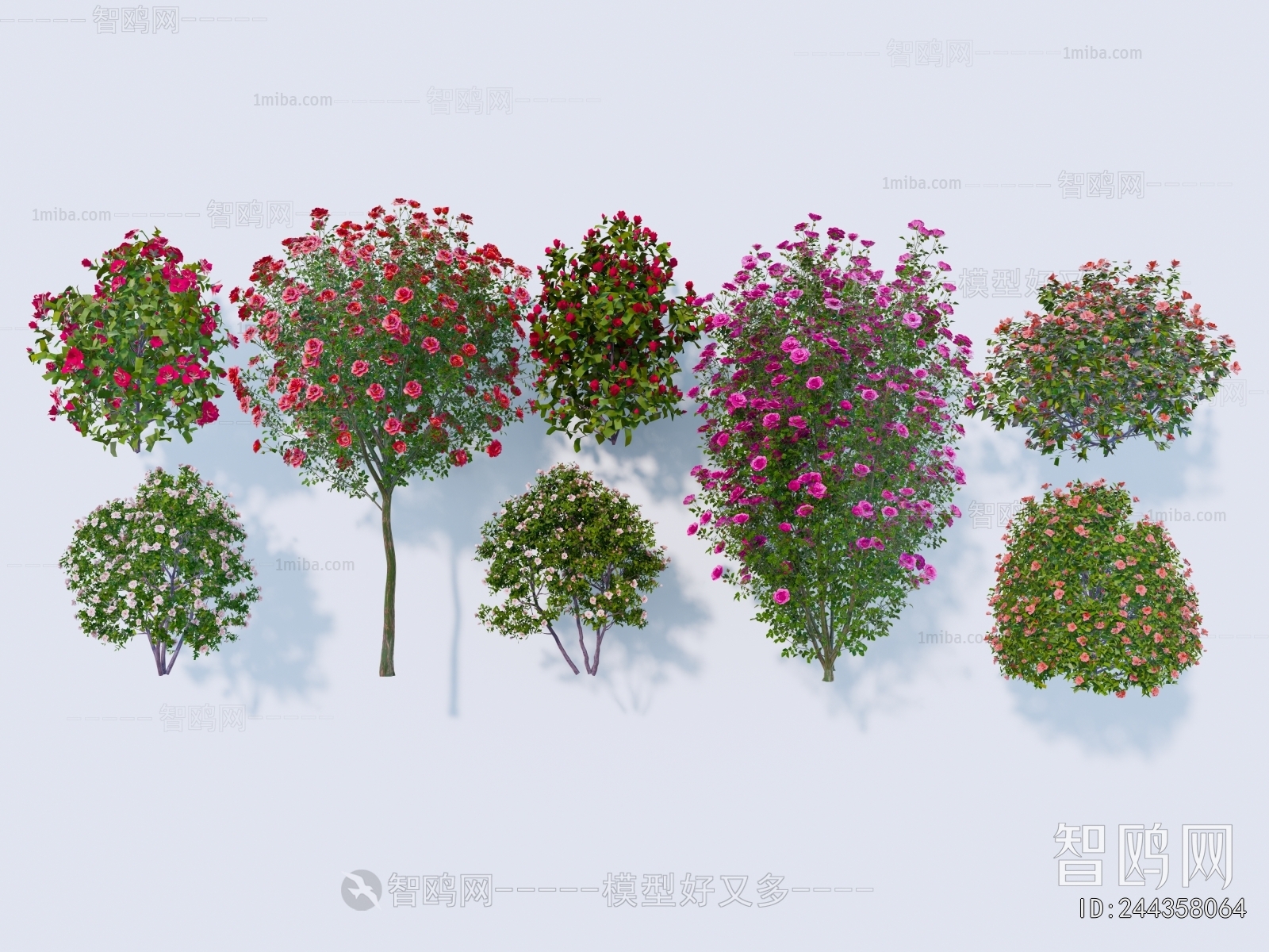 Modern Flowers And Grass