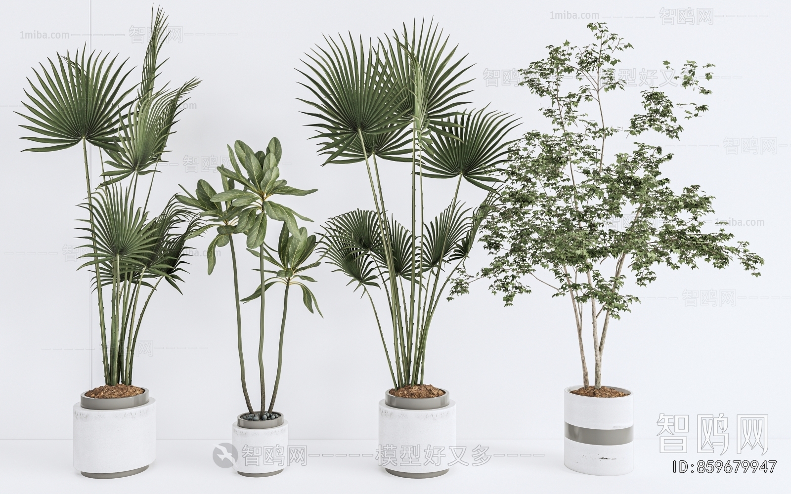 Modern Ground Green Plant Potted Plants