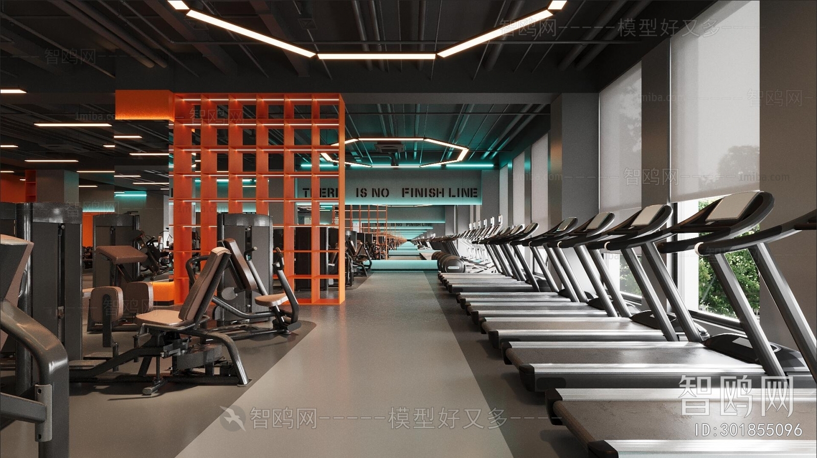 Modern Gym