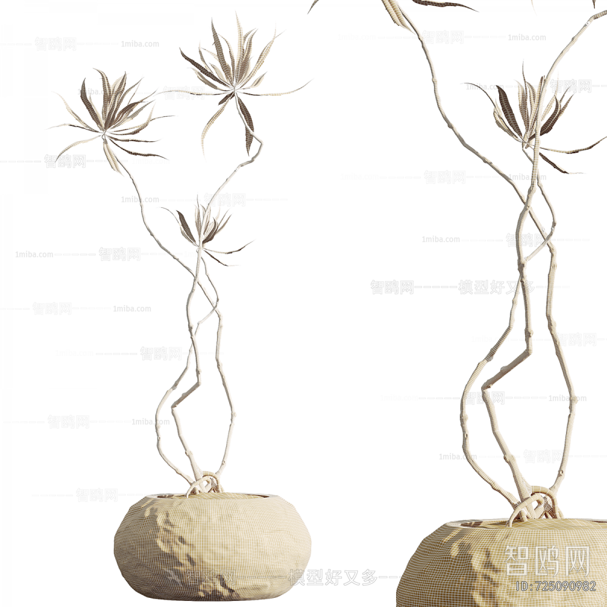 Modern Potted Green Plant