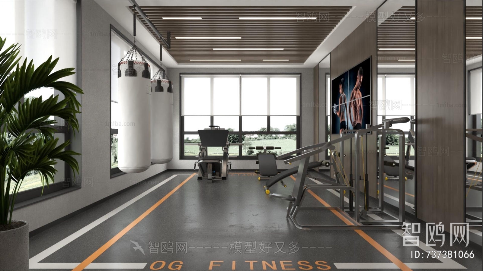 Modern Gym