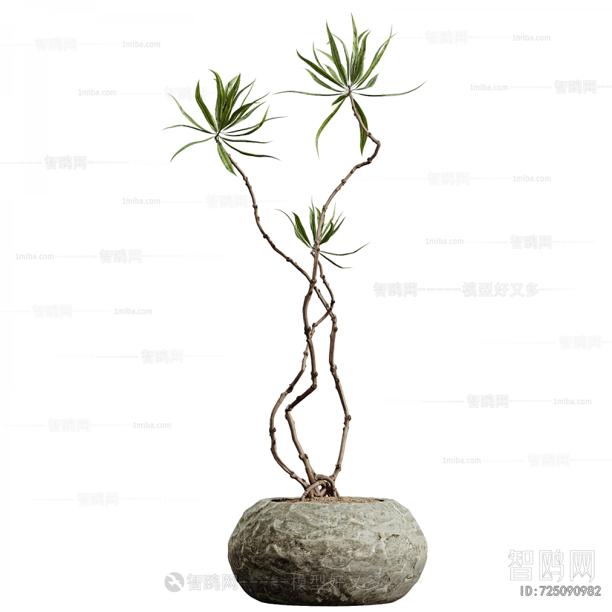 Modern Potted Green Plant