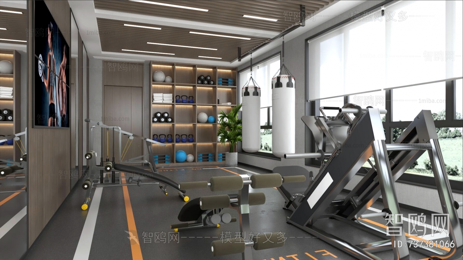 Modern Gym