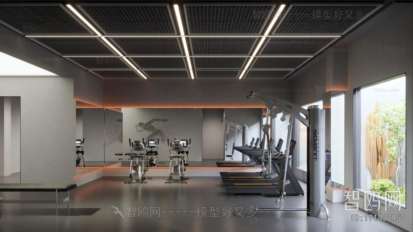 Modern Gym