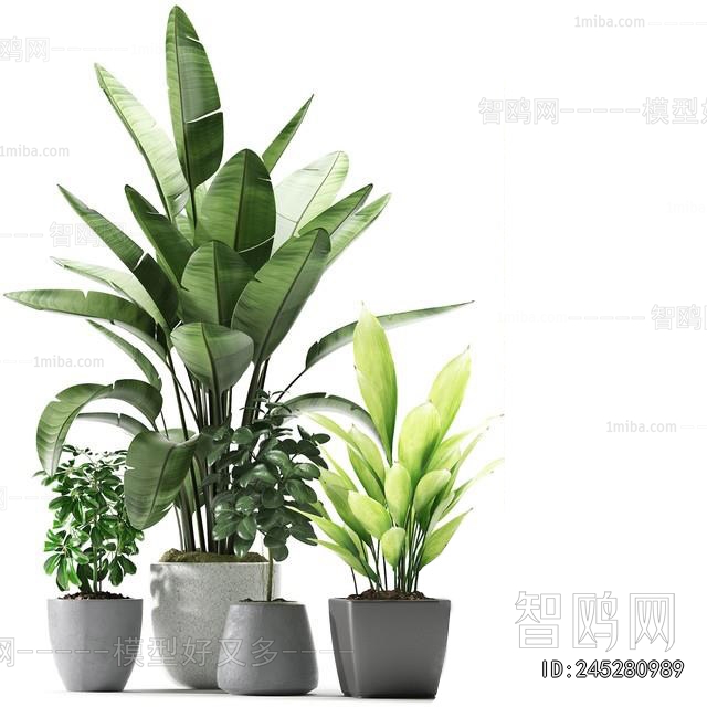 Modern Ground Green Plant Potted Plants