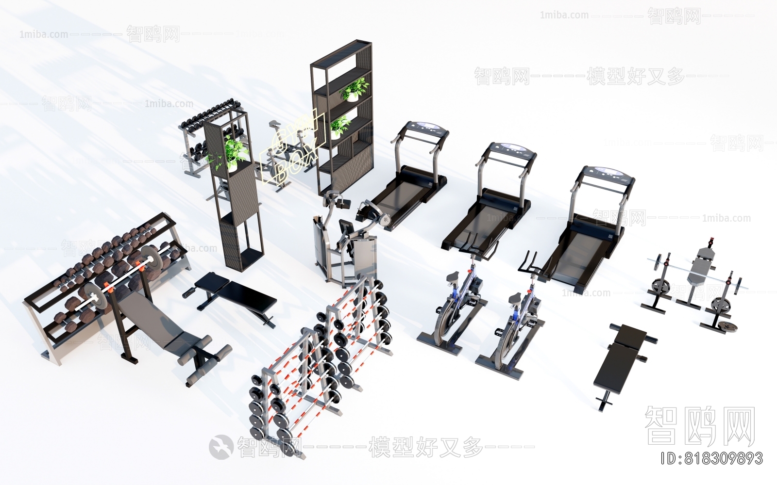 Modern Fitness Equipment