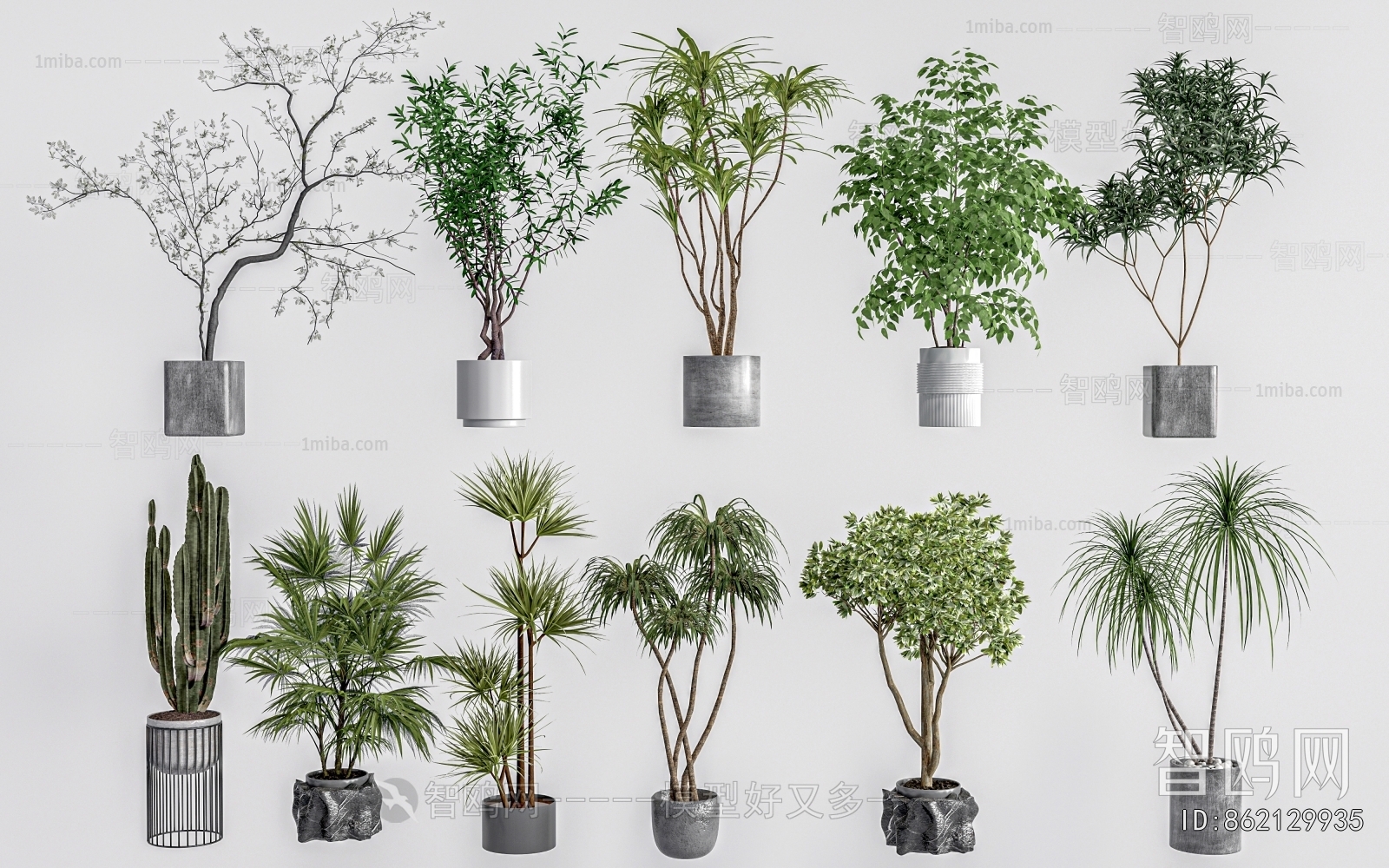 Modern Ground Green Plant Potted Plants