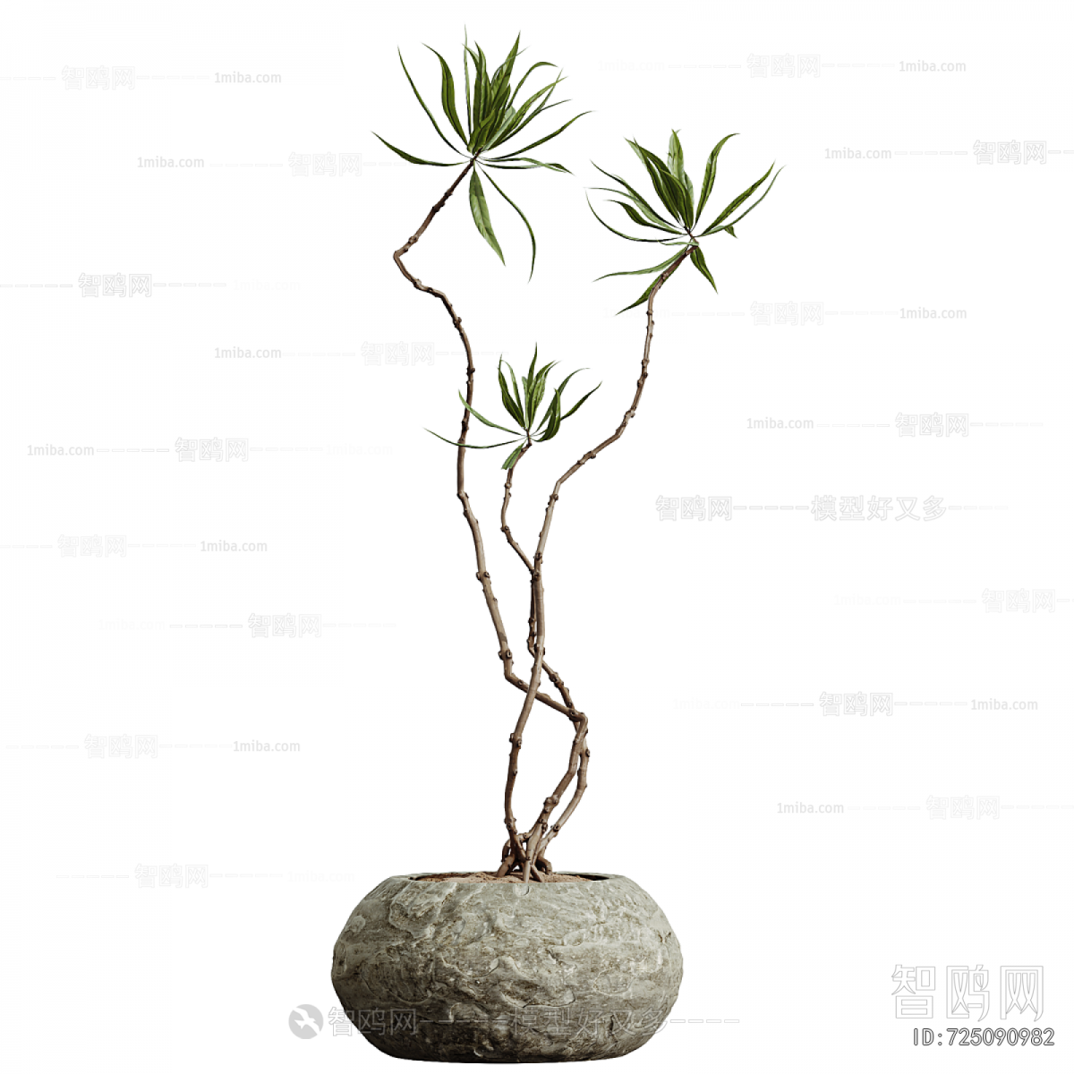 Modern Potted Green Plant