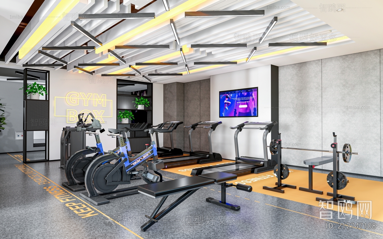 Modern Gym