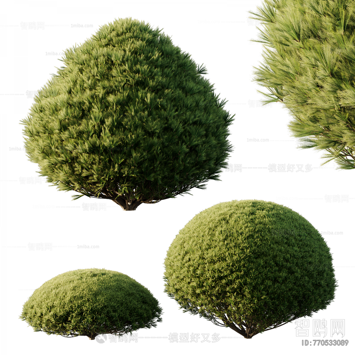 Modern Shrubbery