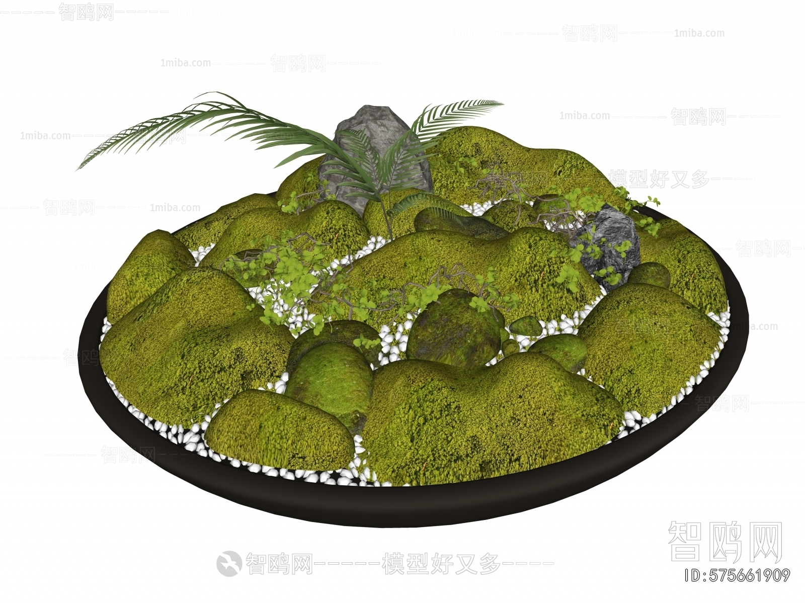 Modern Desktop Plant