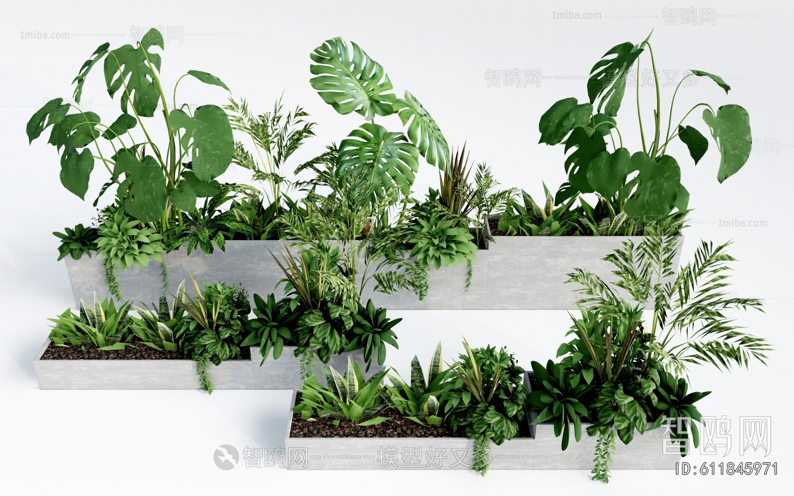 Modern Flower Bed, Flower Bowl, Flower Box