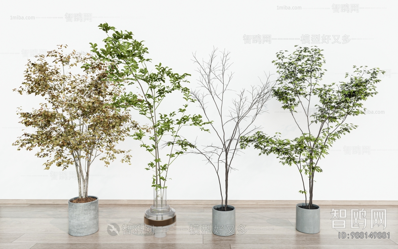 Modern Ground Green Plant Potted Plants