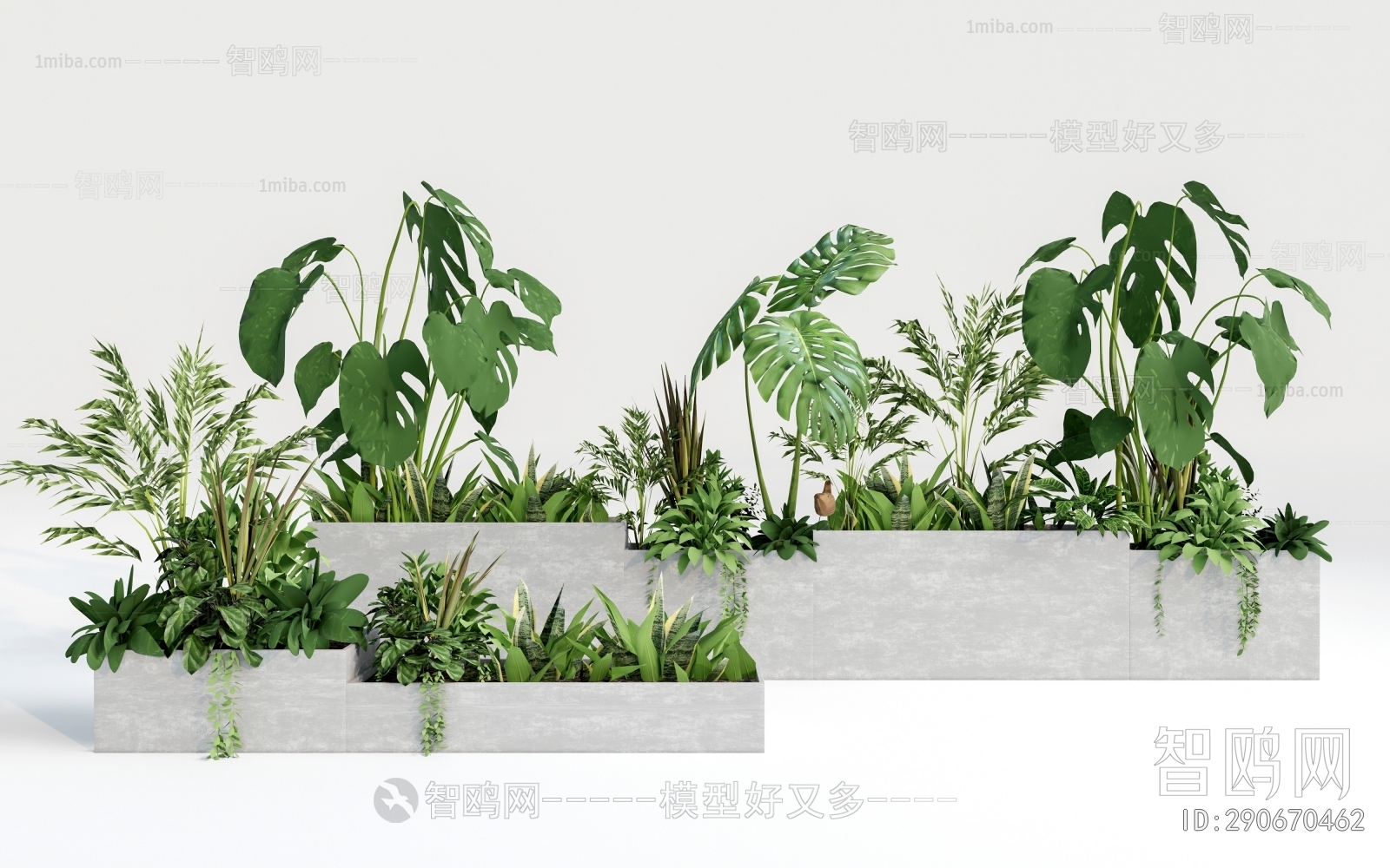 Modern Flower Bed, Flower Bowl, Flower Box