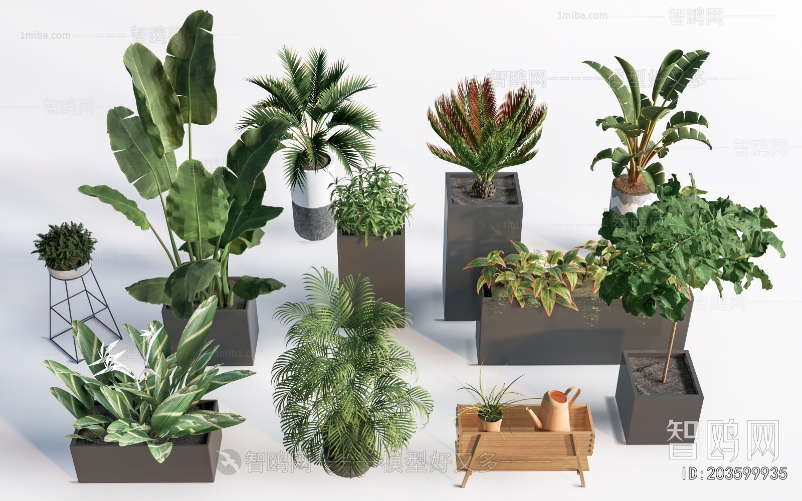 Modern Flower Bed, Flower Bowl, Flower Box