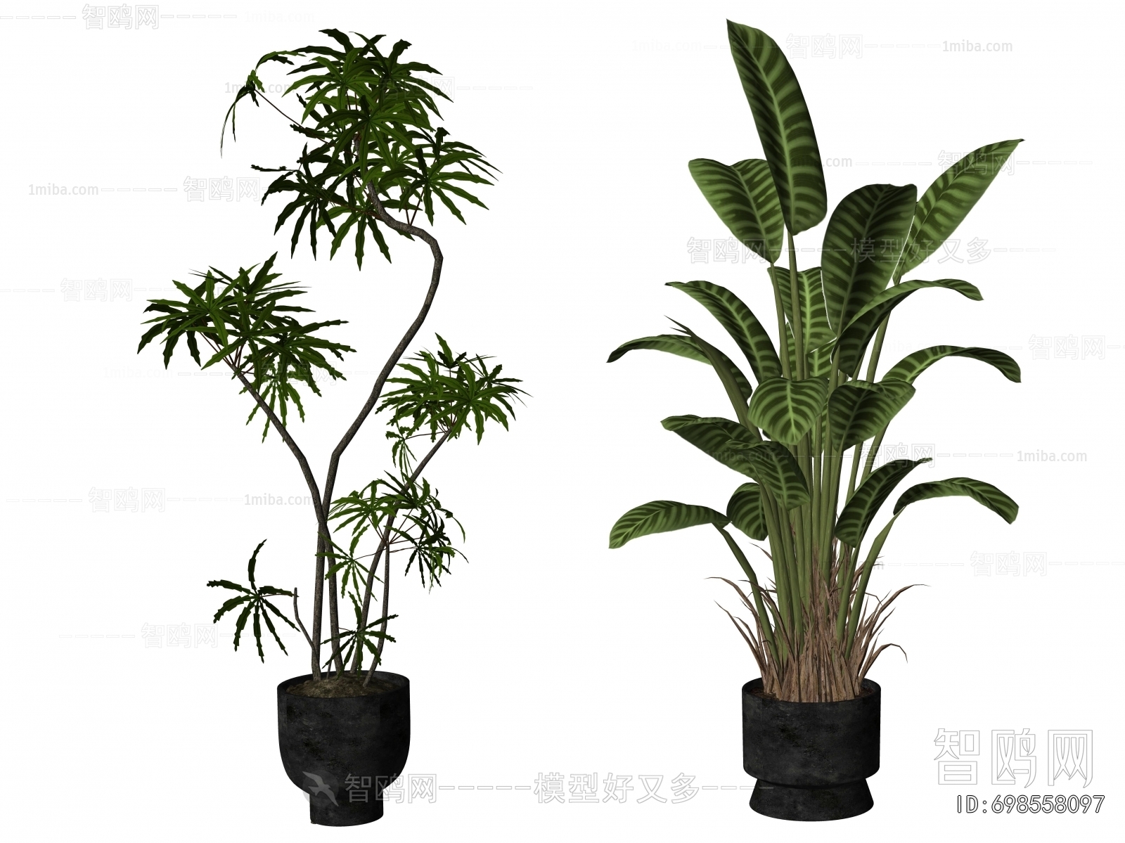 Modern Ground Green Plant Potted Plants