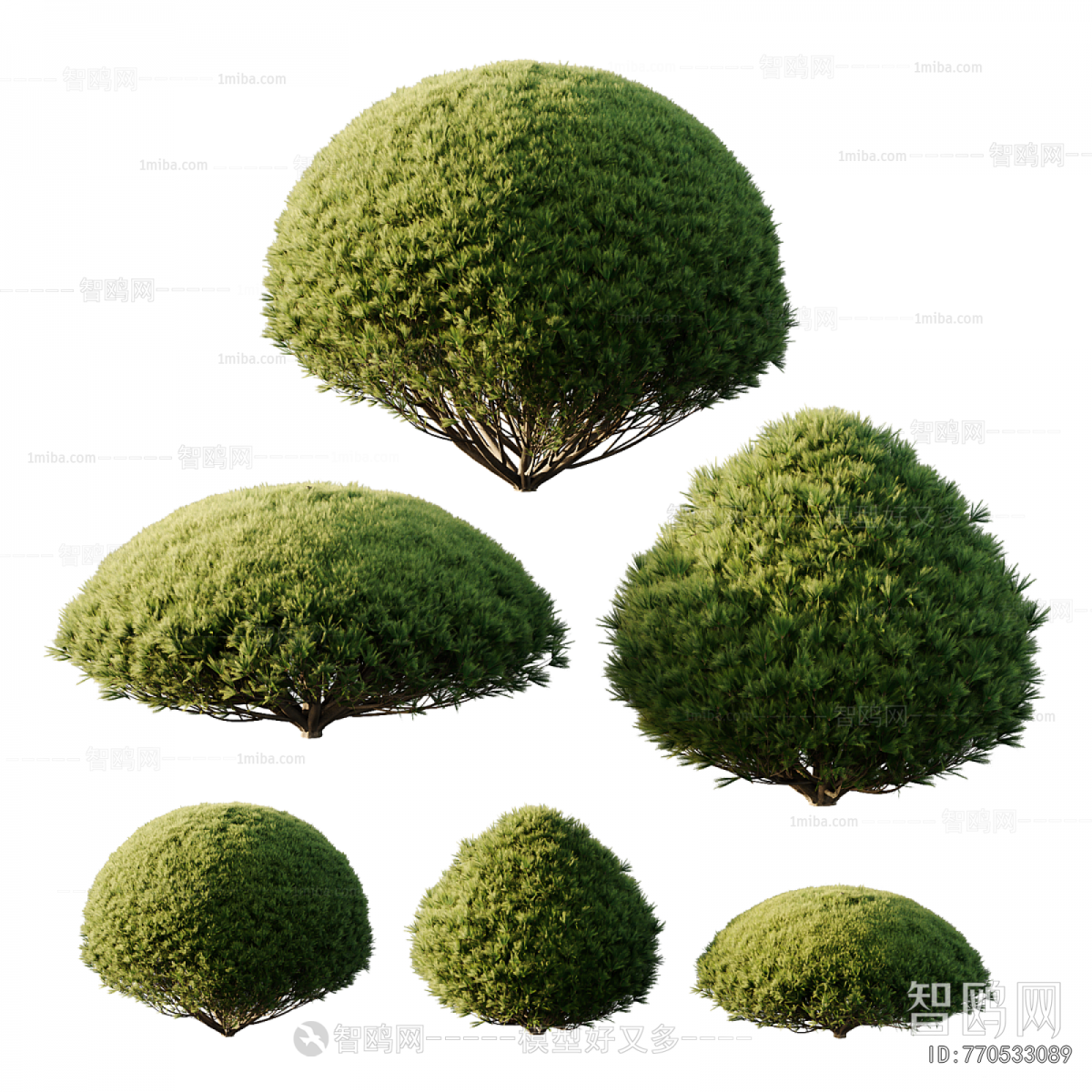 Modern Shrubbery