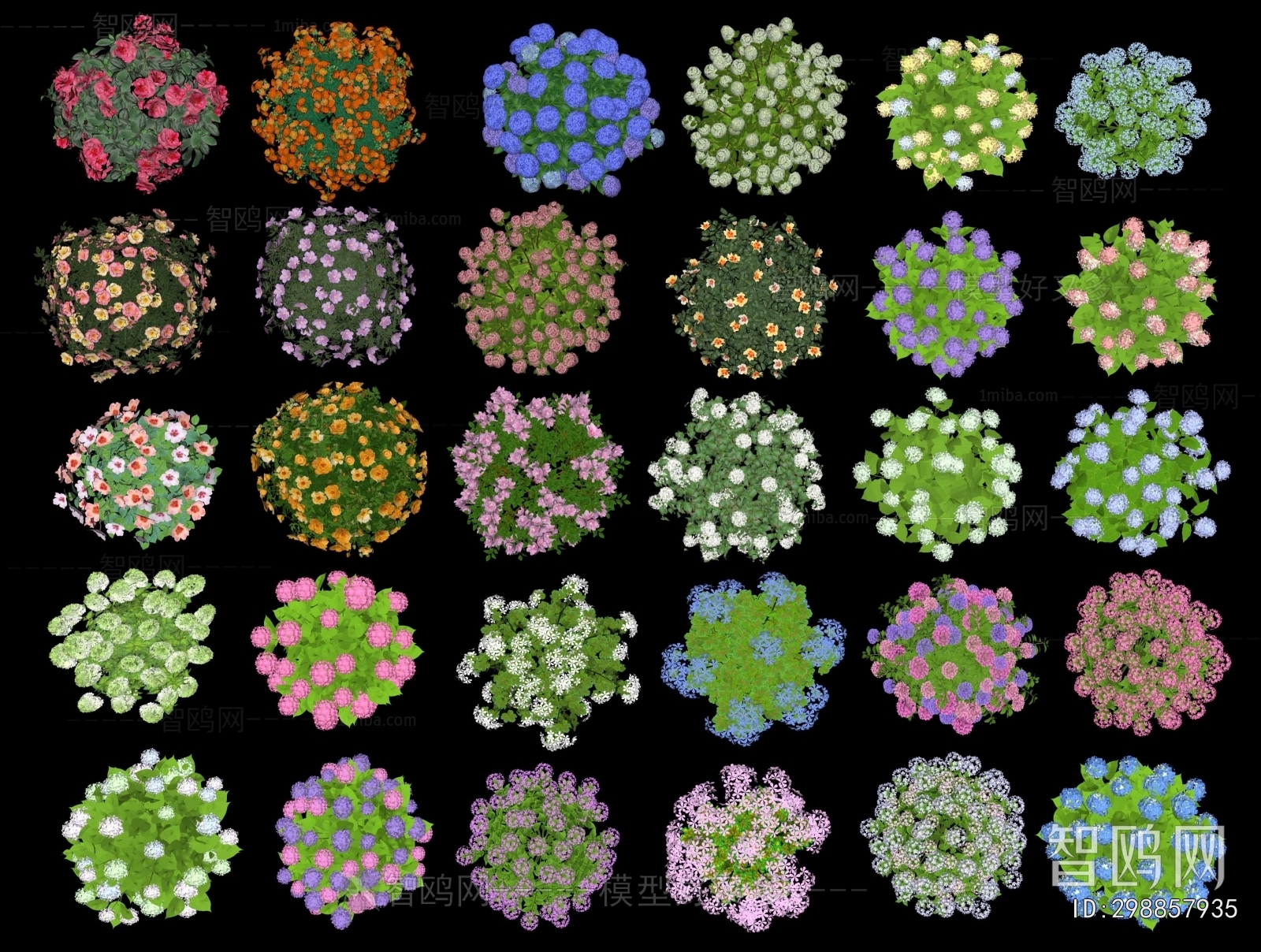 Modern Flowers And Grass