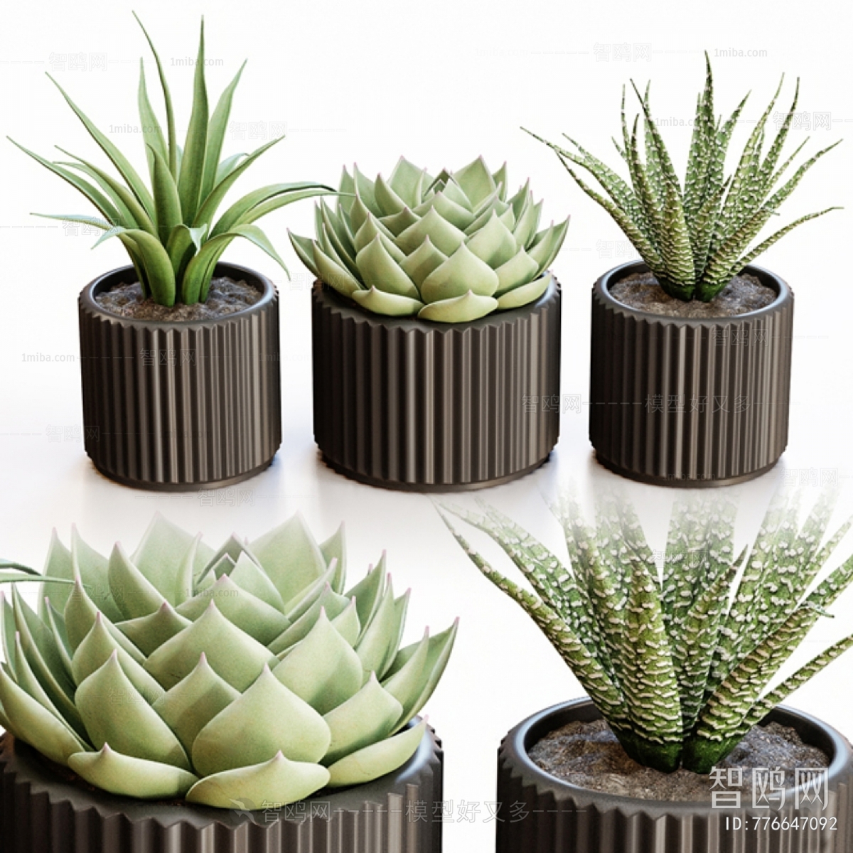 Modern Desktop Plant