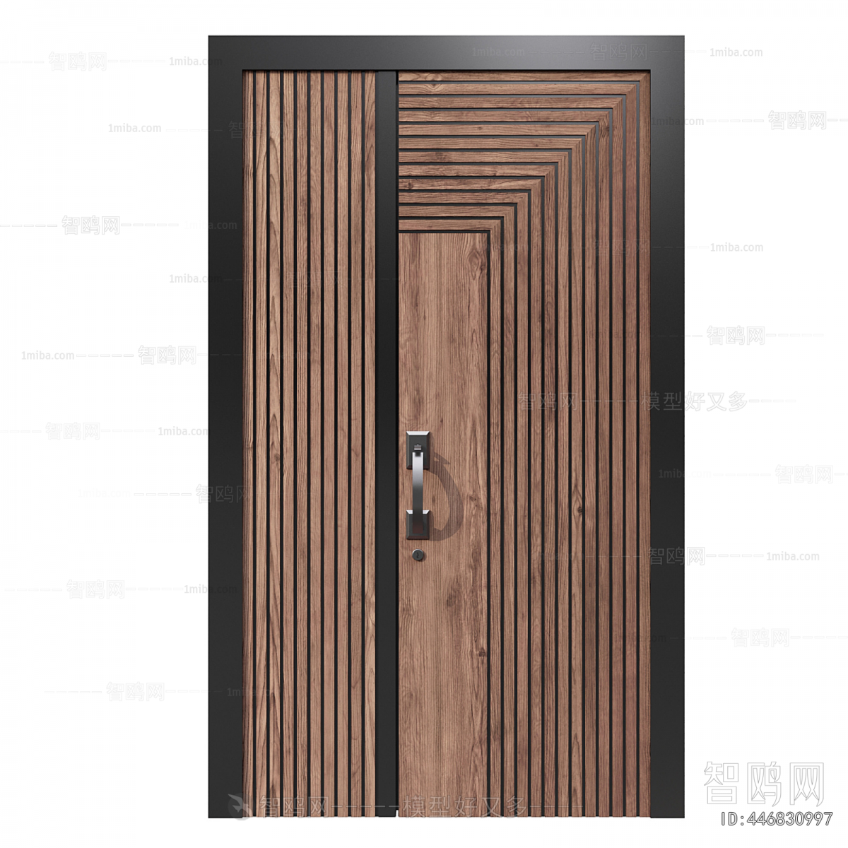 Modern Single Door