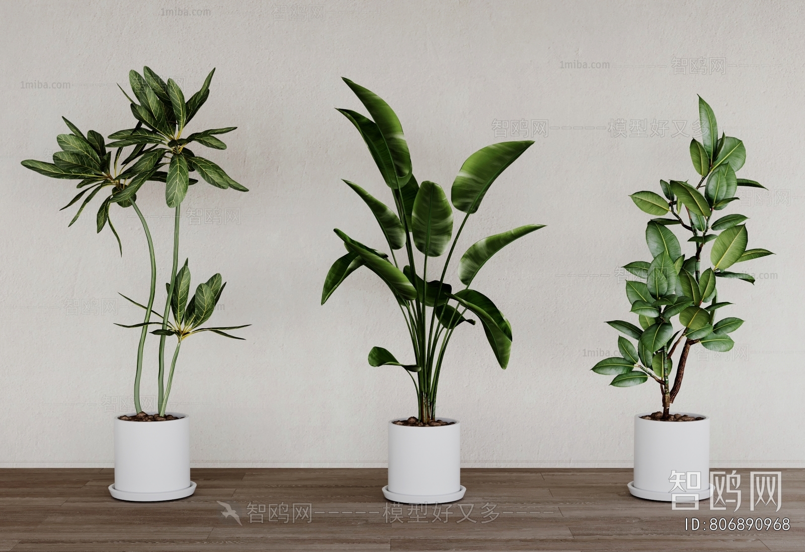 Modern Ground Green Plant Potted Plants