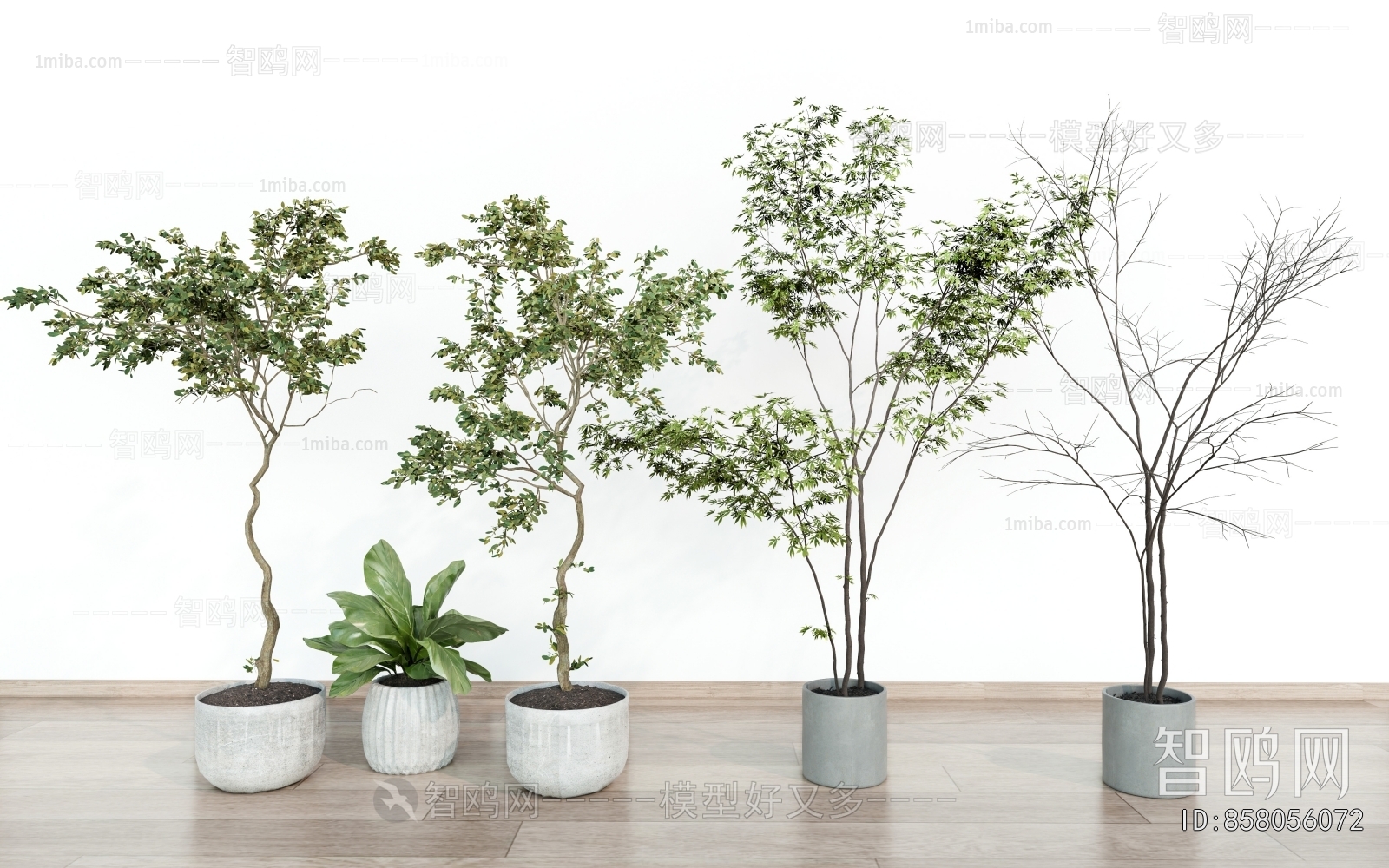 Modern Ground Green Plant Potted Plants