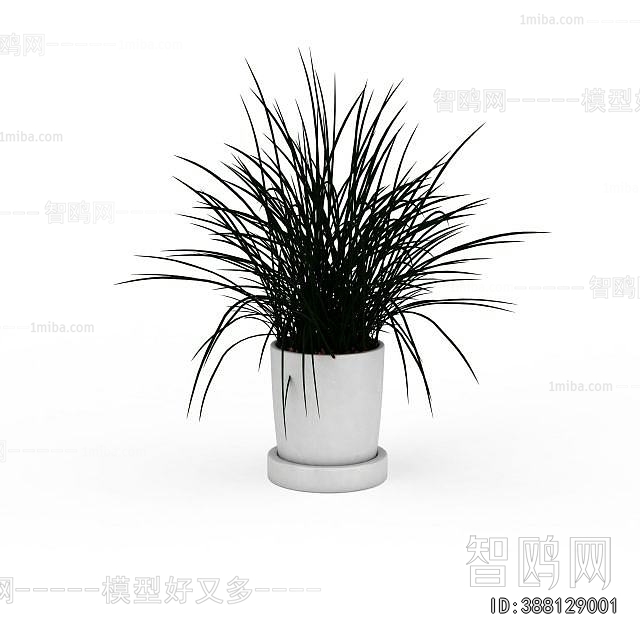 Modern Potted Green Plant
