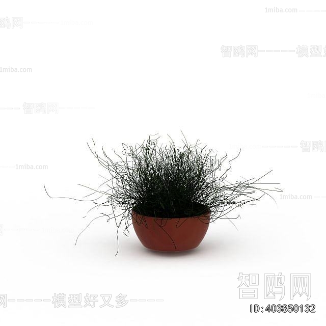 Modern Potted Green Plant