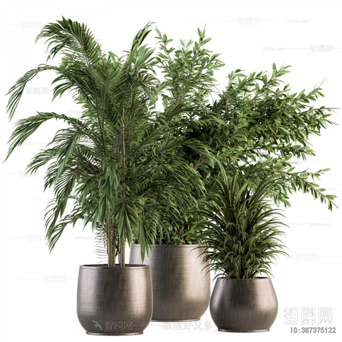Modern Ground Green Plant Potted Plants
