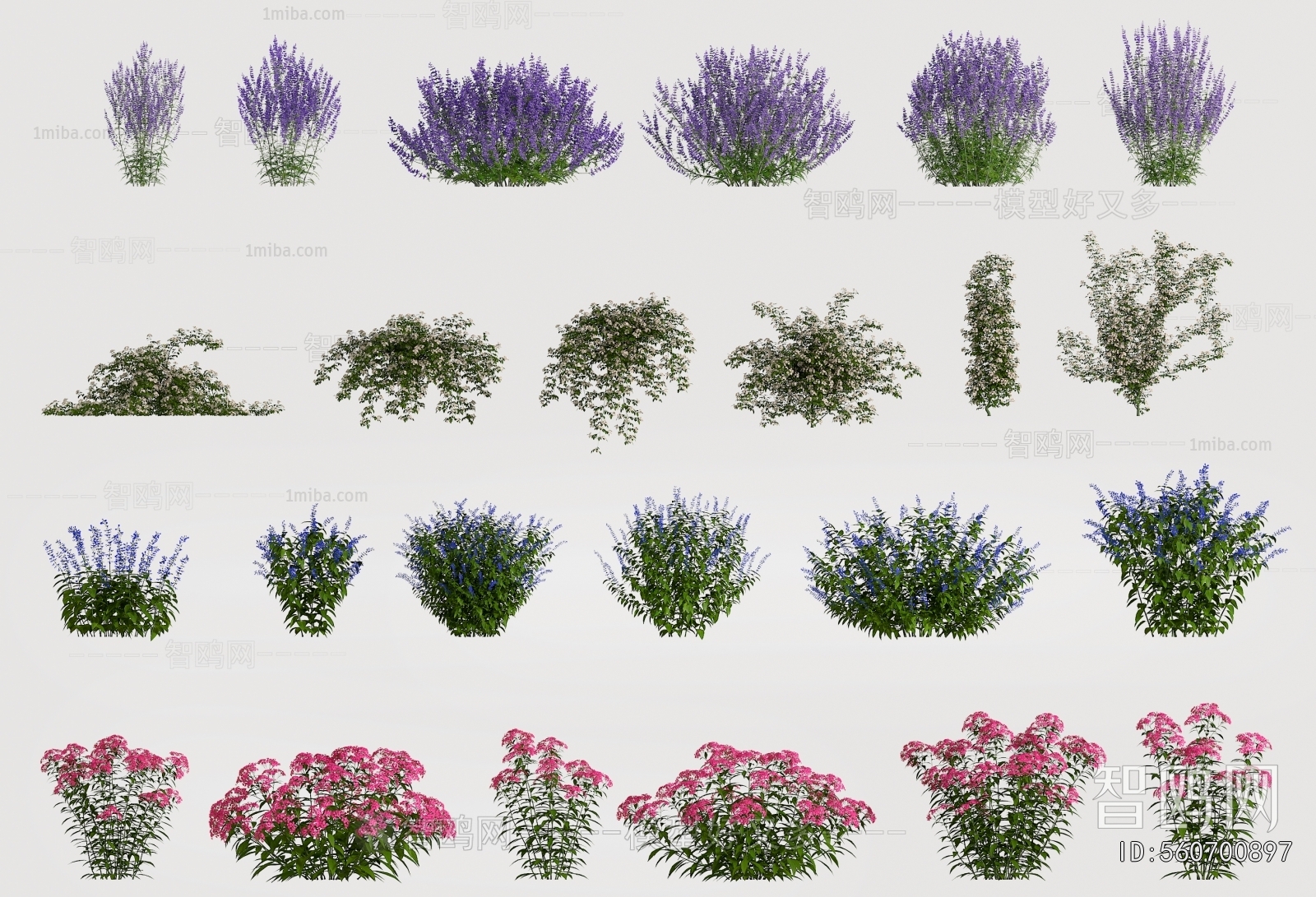 Modern Flowers And Grass