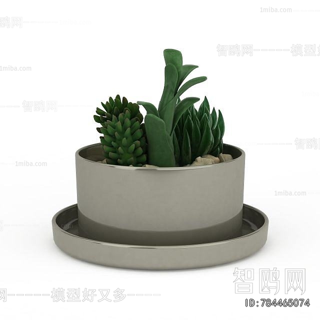 Modern Potted Green Plant