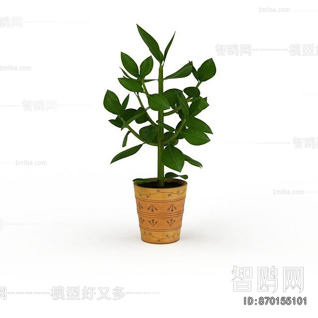 Modern Potted Green Plant