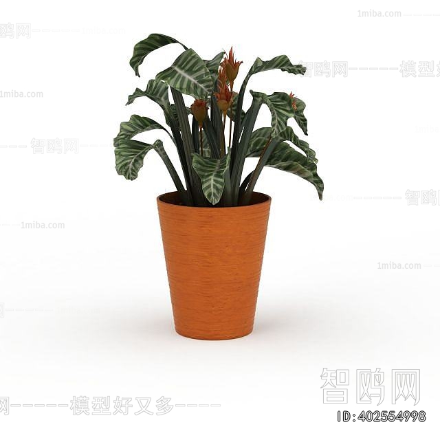 Modern Potted Green Plant